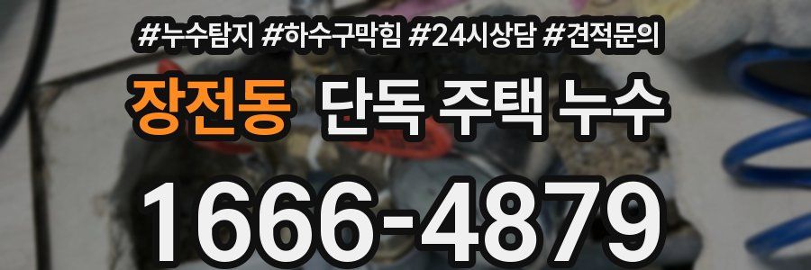 장전동 단독 주택 누수