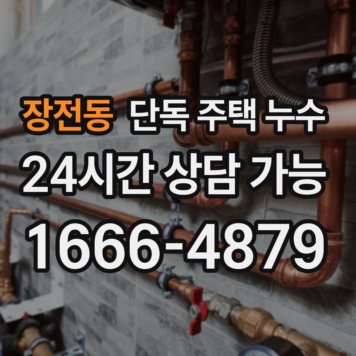 장전동 단독 주택 누수