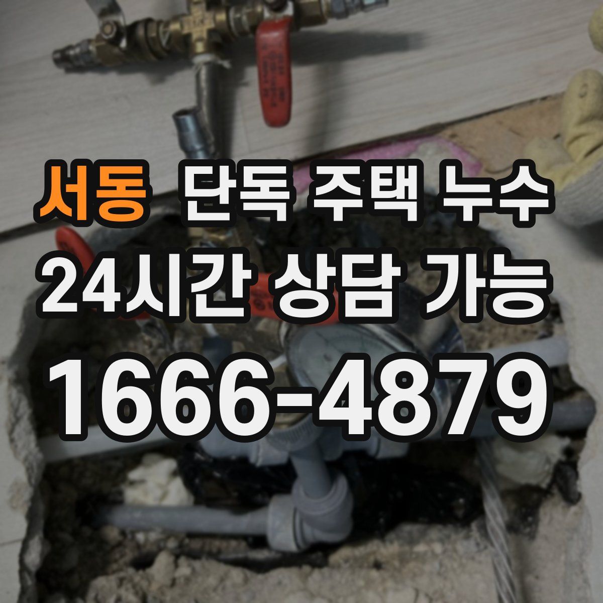 서동 단독 주택 누수