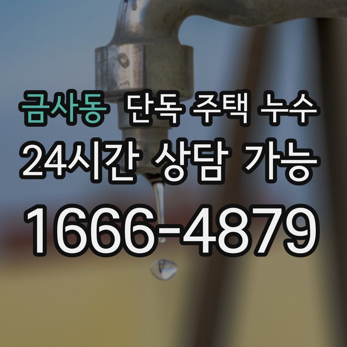 금사동 단독 주택 누수 원인별로 달라지는 물자국 패턴 총정리