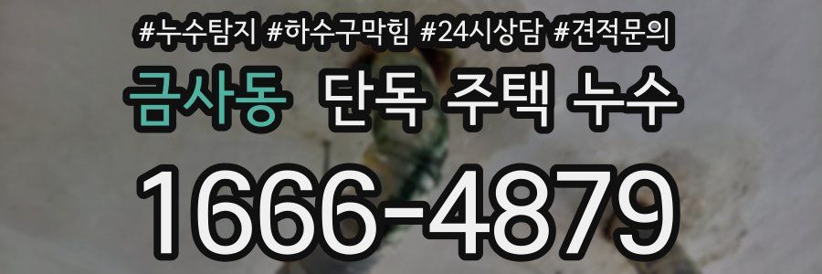 금사동 단독 주택 누수