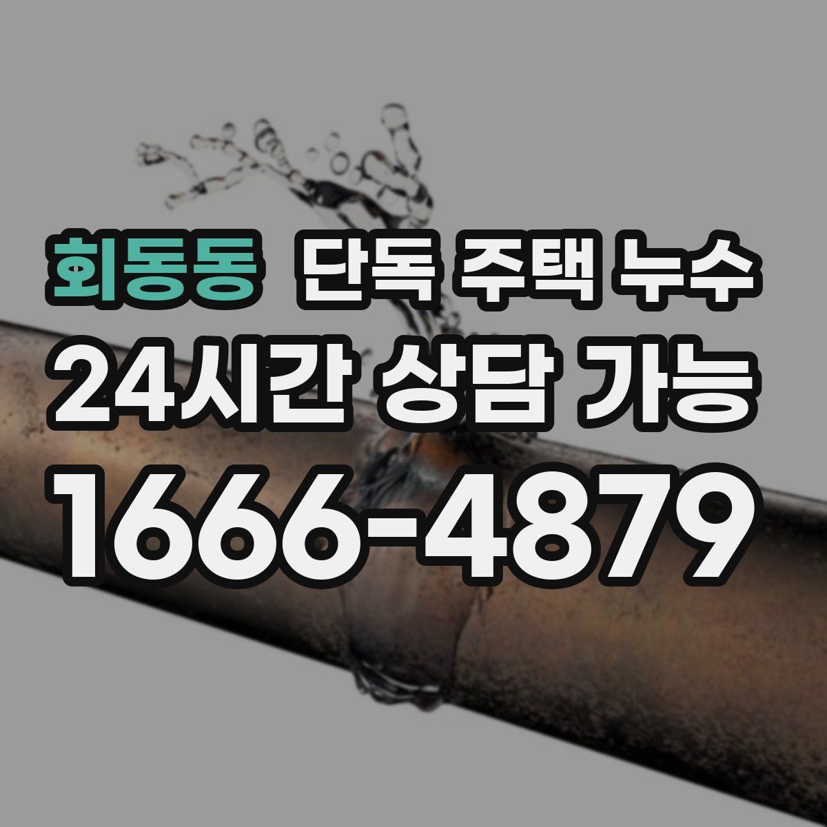 회동동 단독 주택 누수