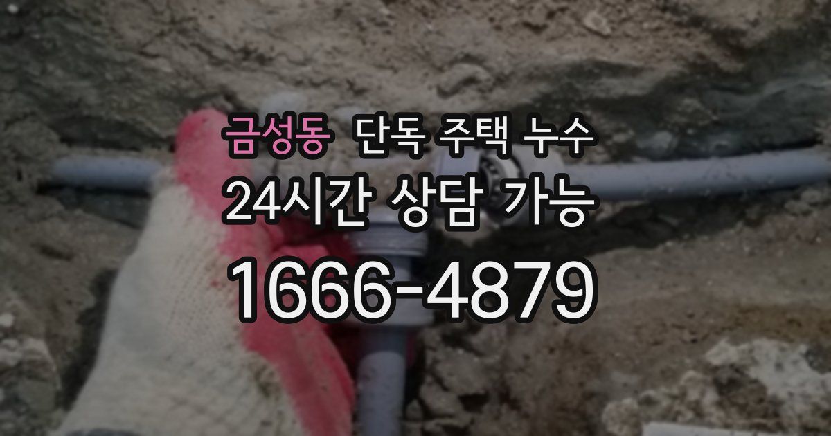 금성동 단독 주택 누수