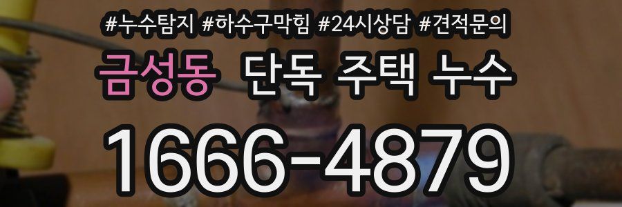 금성동 단독 주택 누수