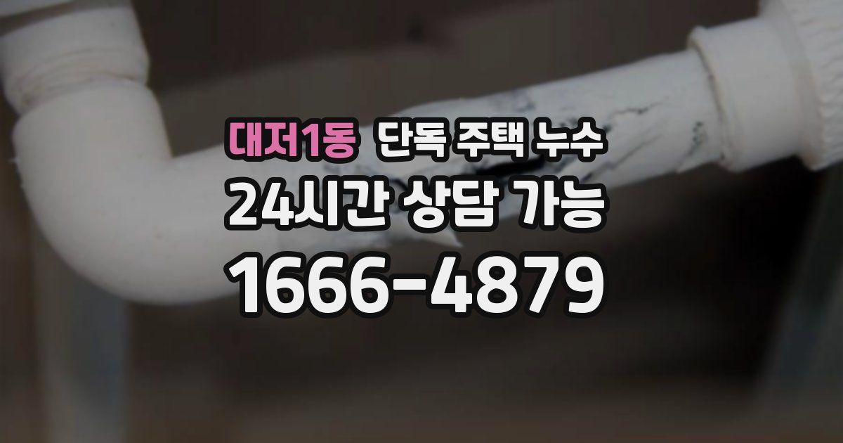 대저1동 단독 주택 누수