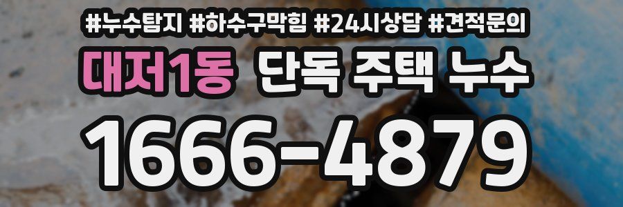 대저1동 단독 주택 누수