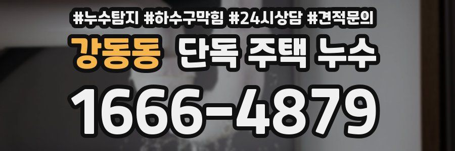 강동동 단독 주택 누수