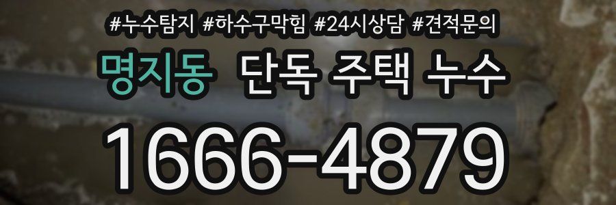 명지동 단독 주택 누수
