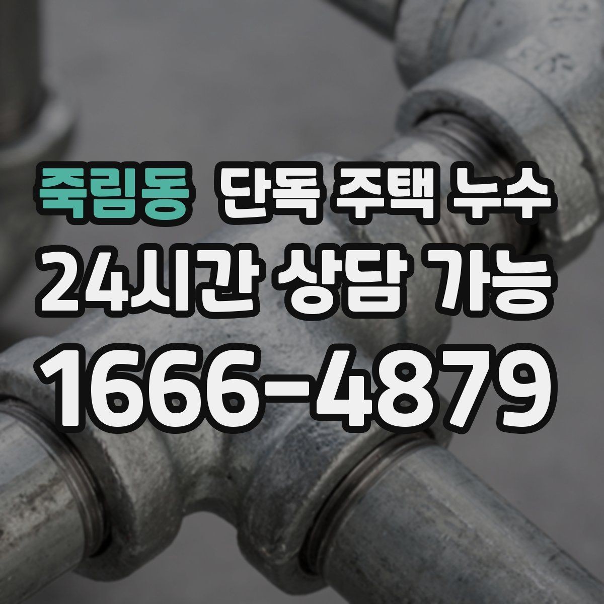 죽림동 단독 주택 누수 주방 벽면이 젖는다면 배관부터 볼까