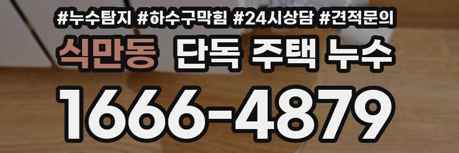 식만동 단독 주택 누수