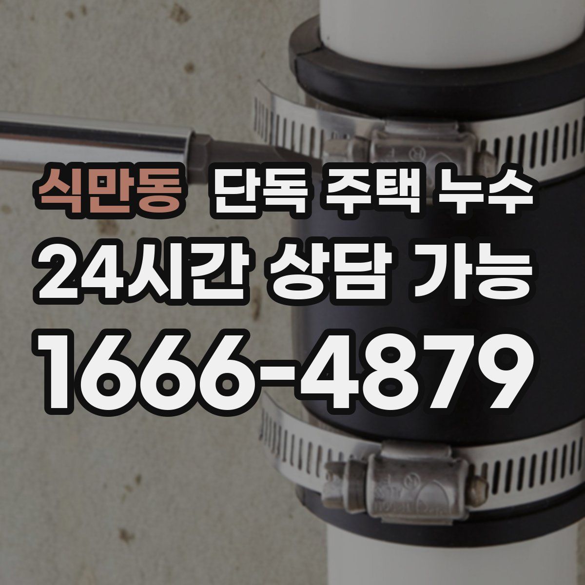 식만동 단독 주택 누수