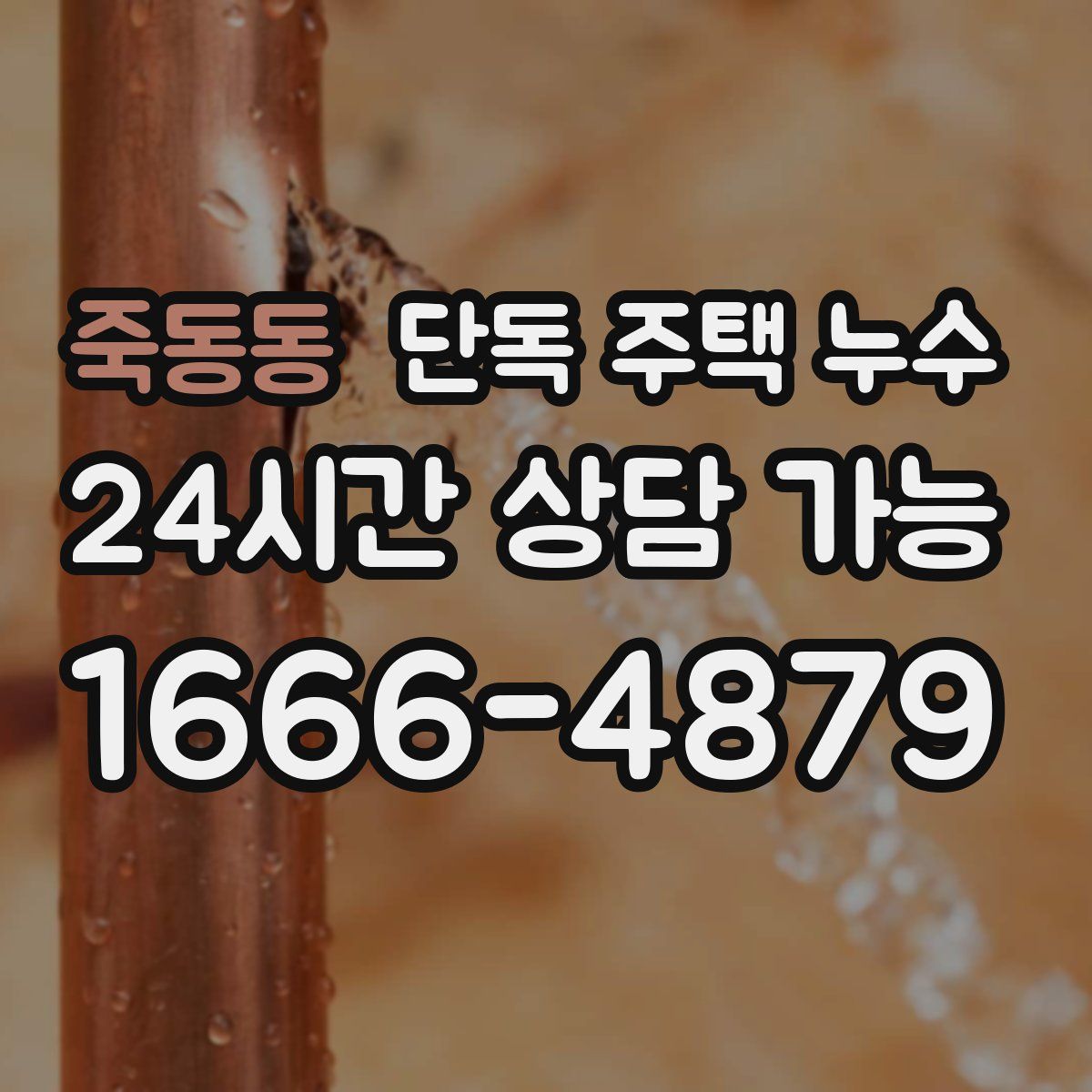 죽동동 단독 주택 누수