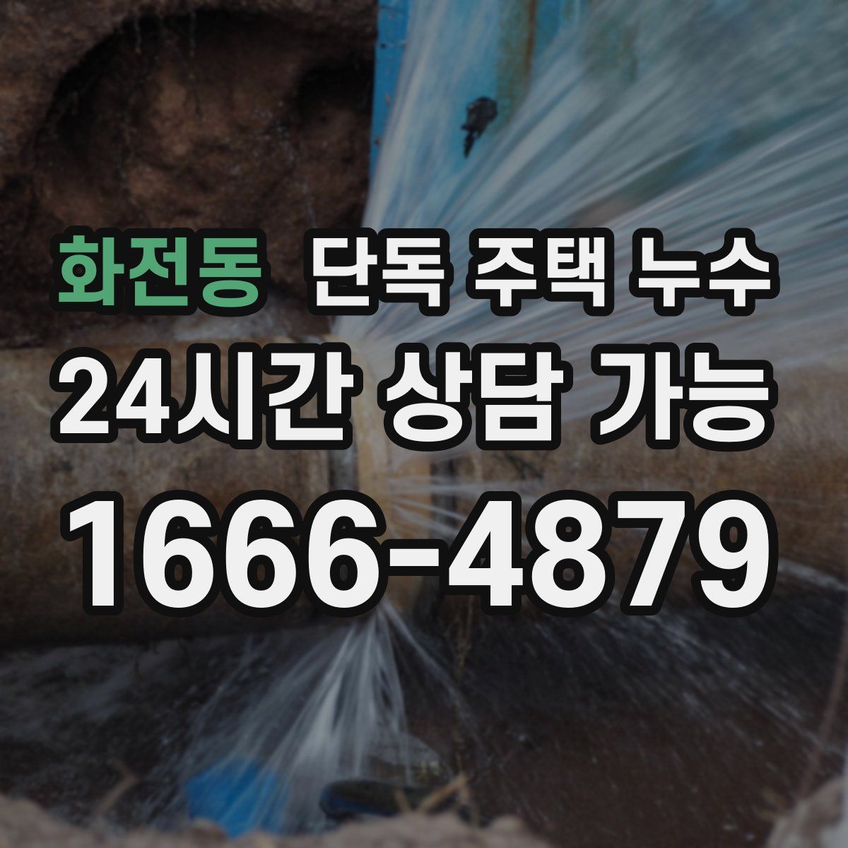 화전동 단독 주택 누수