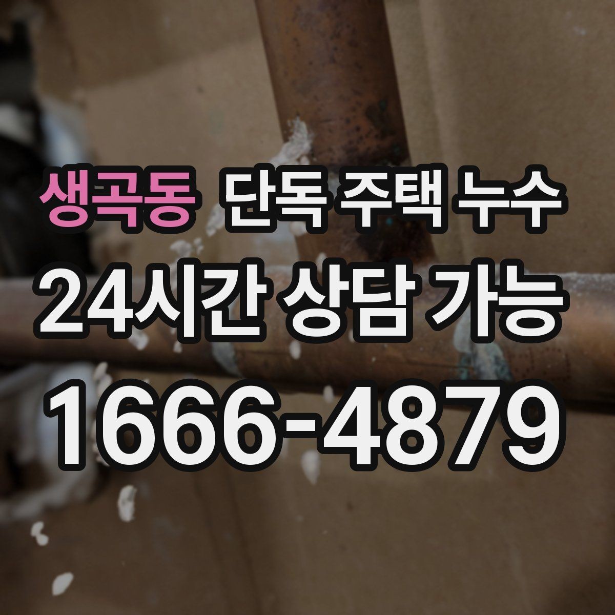 생곡동 단독 주택 누수 외벽 균열과 실내 곰팡이의 연결