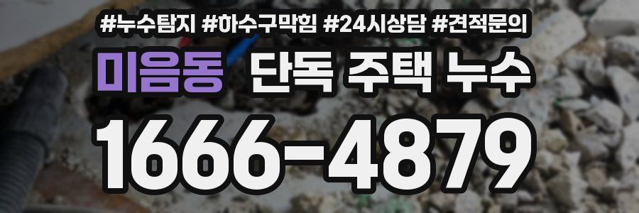 미음동 단독 주택 누수