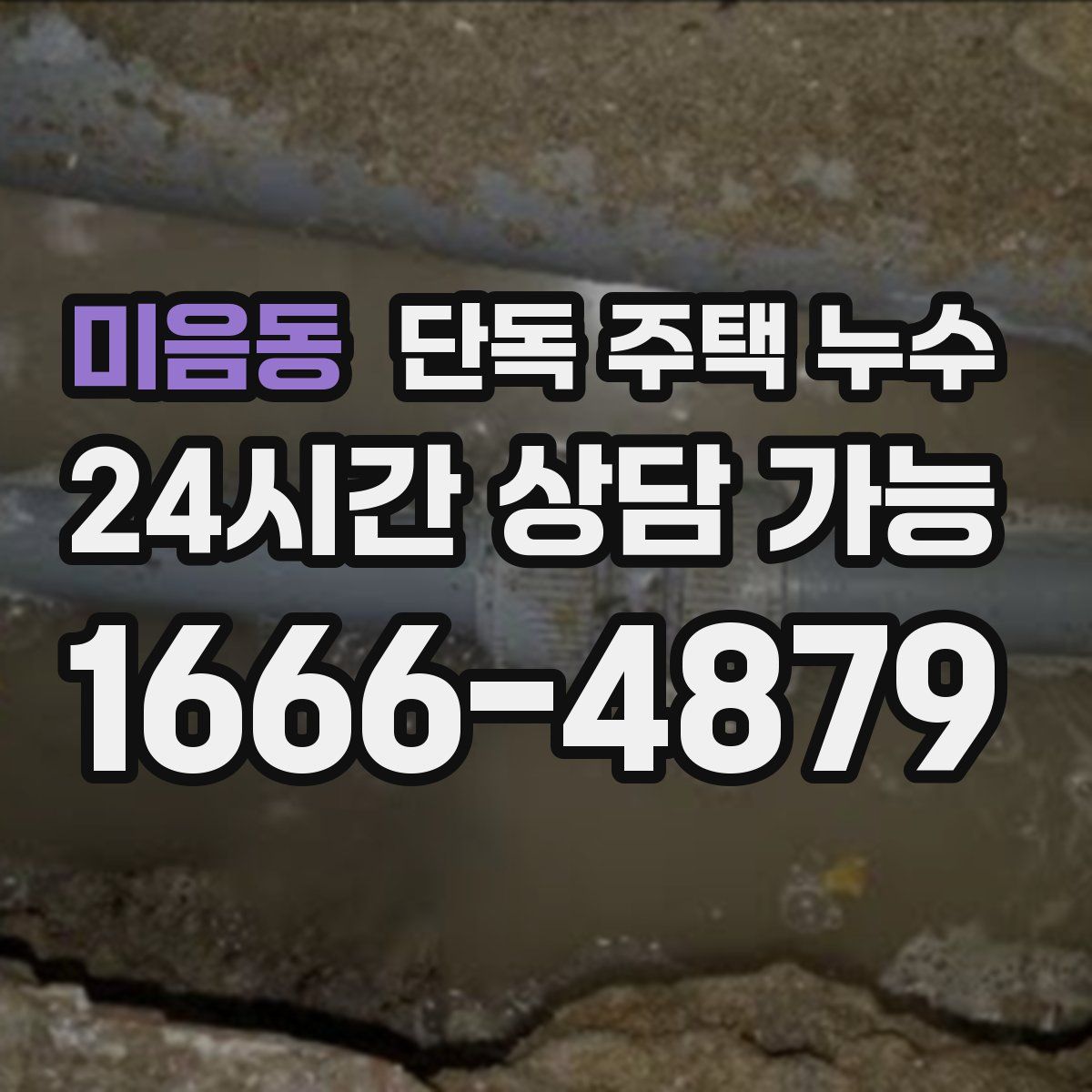 미음동 단독 주택 누수