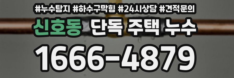 신호동 단독 주택 누수