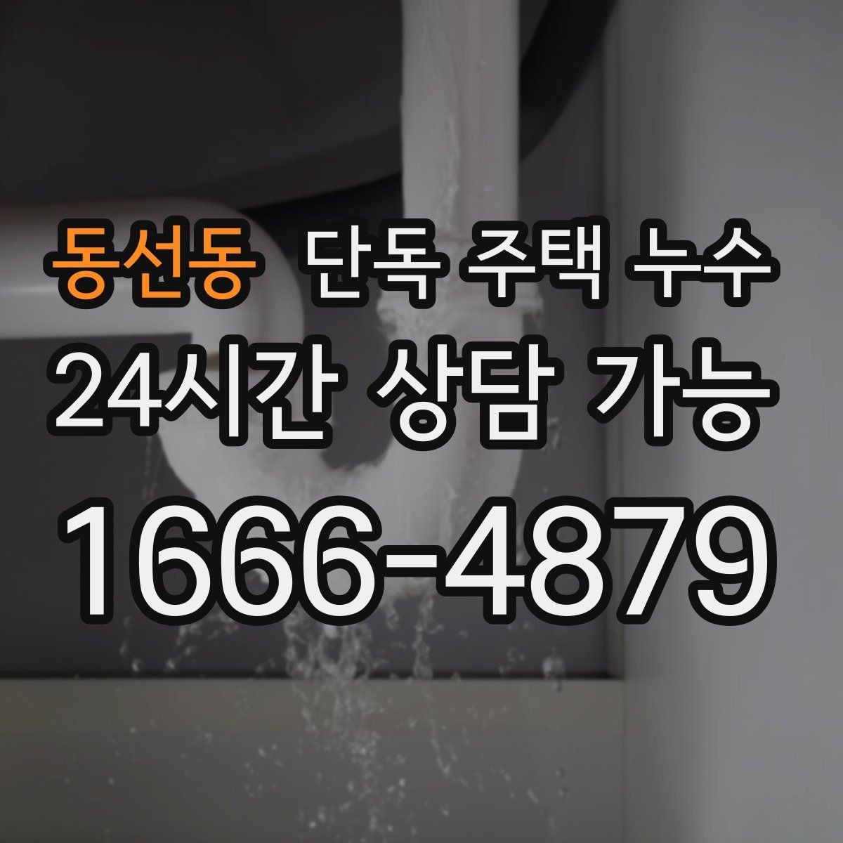 동선동 단독 주택 누수 냄새가 올라올 때 배관 누수 가능성