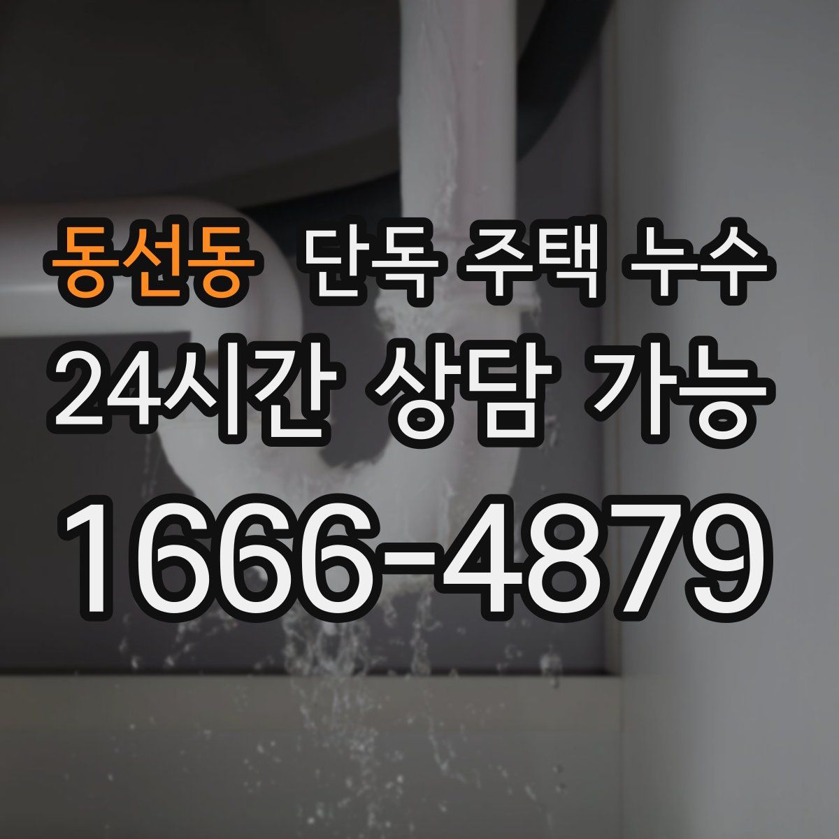 동선동 단독 주택 누수