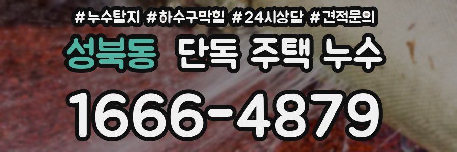 성북동 단독 주택 누수