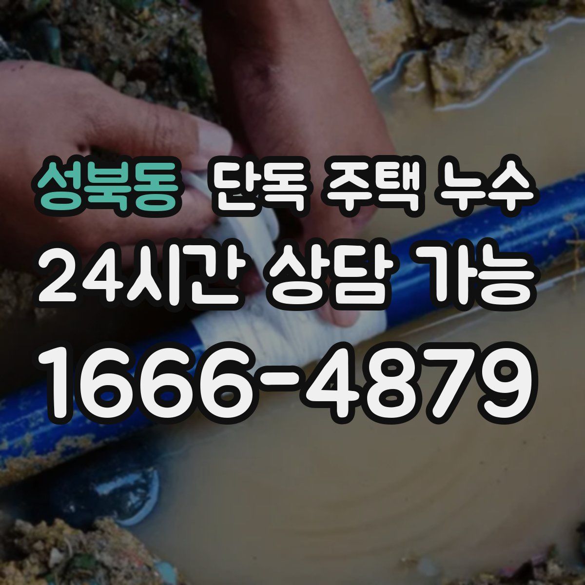 성북동 단독 주택 누수