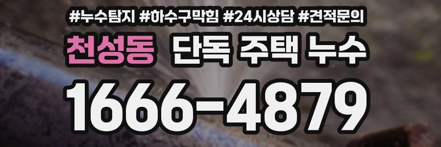 천성동 단독 주택 누수