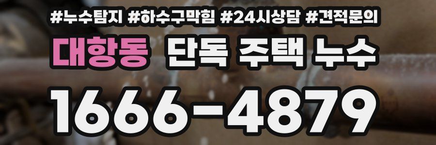 대항동 단독 주택 누수
