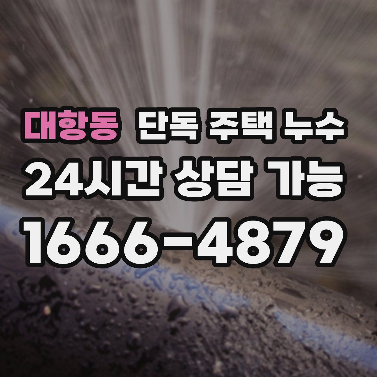 대항동 단독 주택 누수