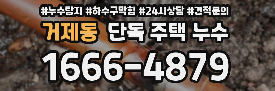 거제동 단독 주택 누수