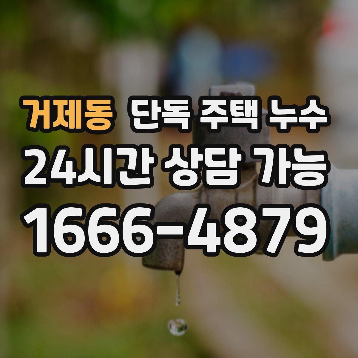 거제동 단독 주택 누수