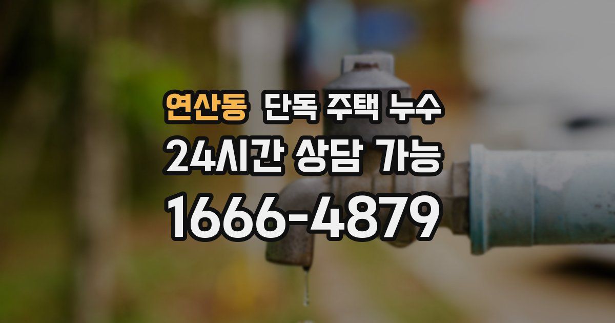 연산동 단독 주택 누수