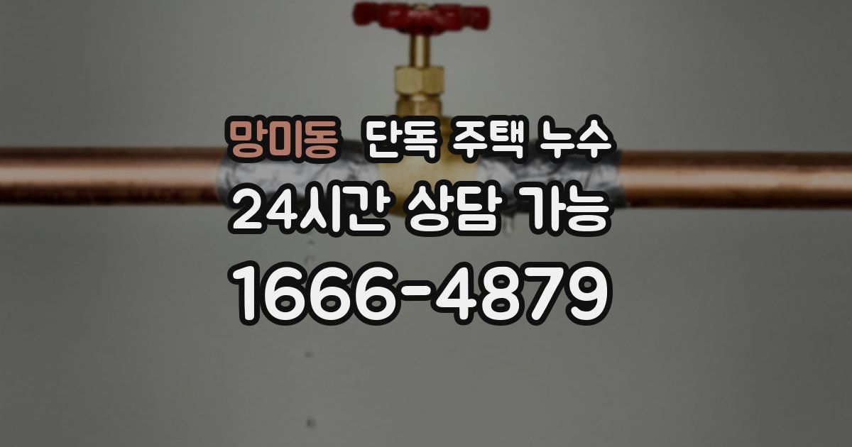 망미동 단독 주택 누수