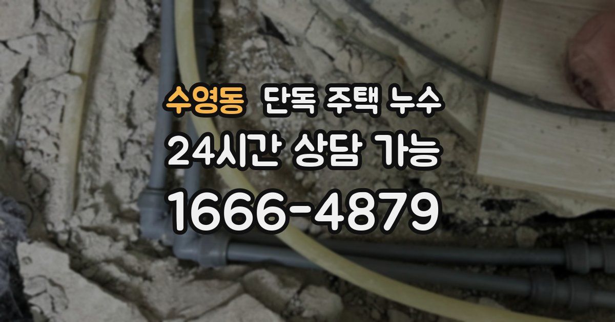 수영동 단독 주택 누수