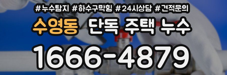 수영동 단독 주택 누수