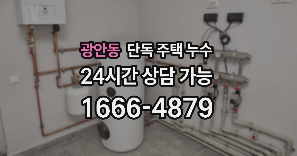 광안동 단독 주택 누수