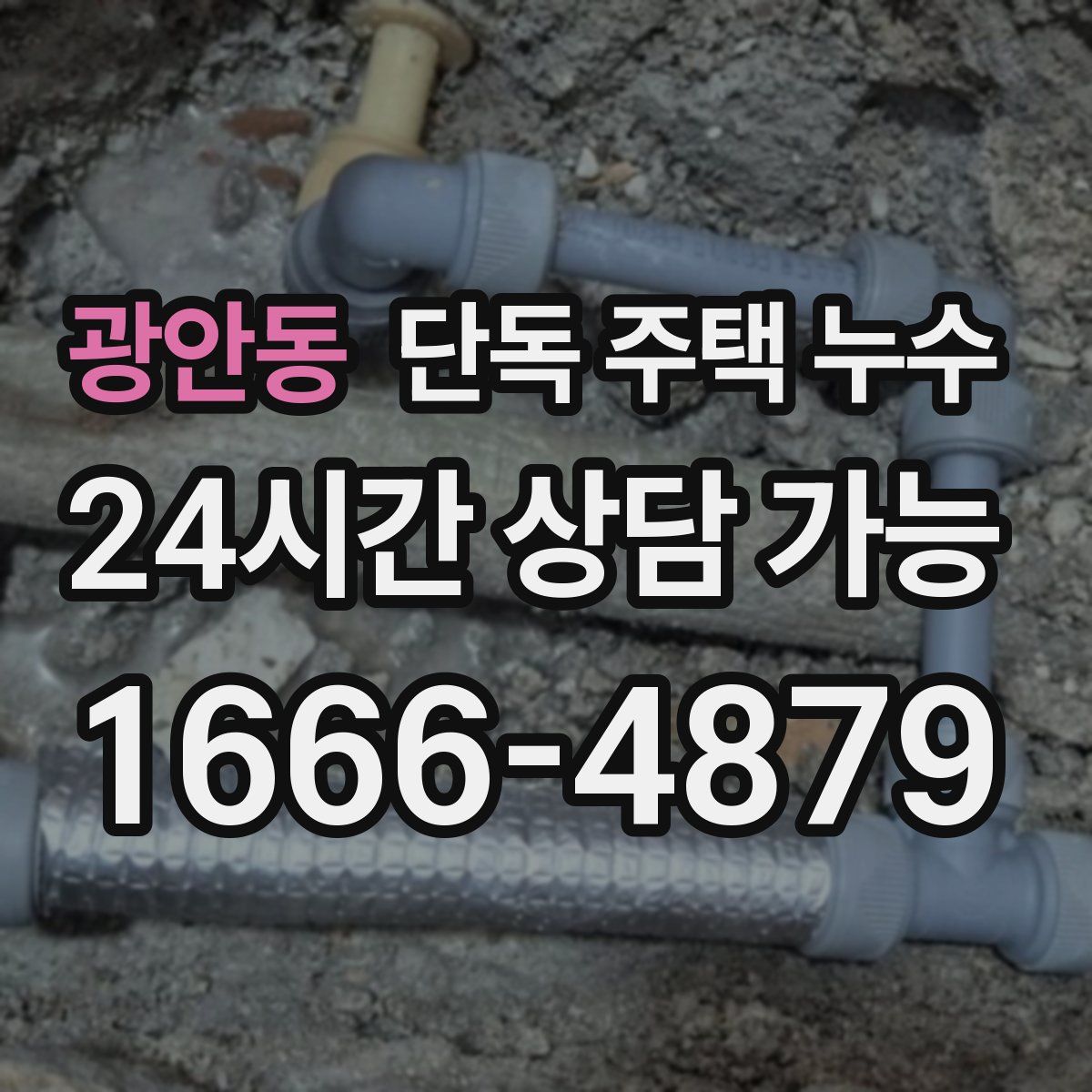 광안동 단독 주택 누수