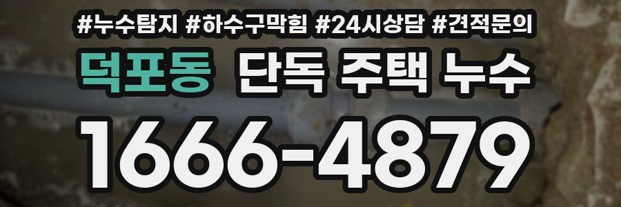 덕포동 단독 주택 누수