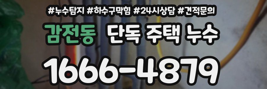 감전동 단독 주택 누수