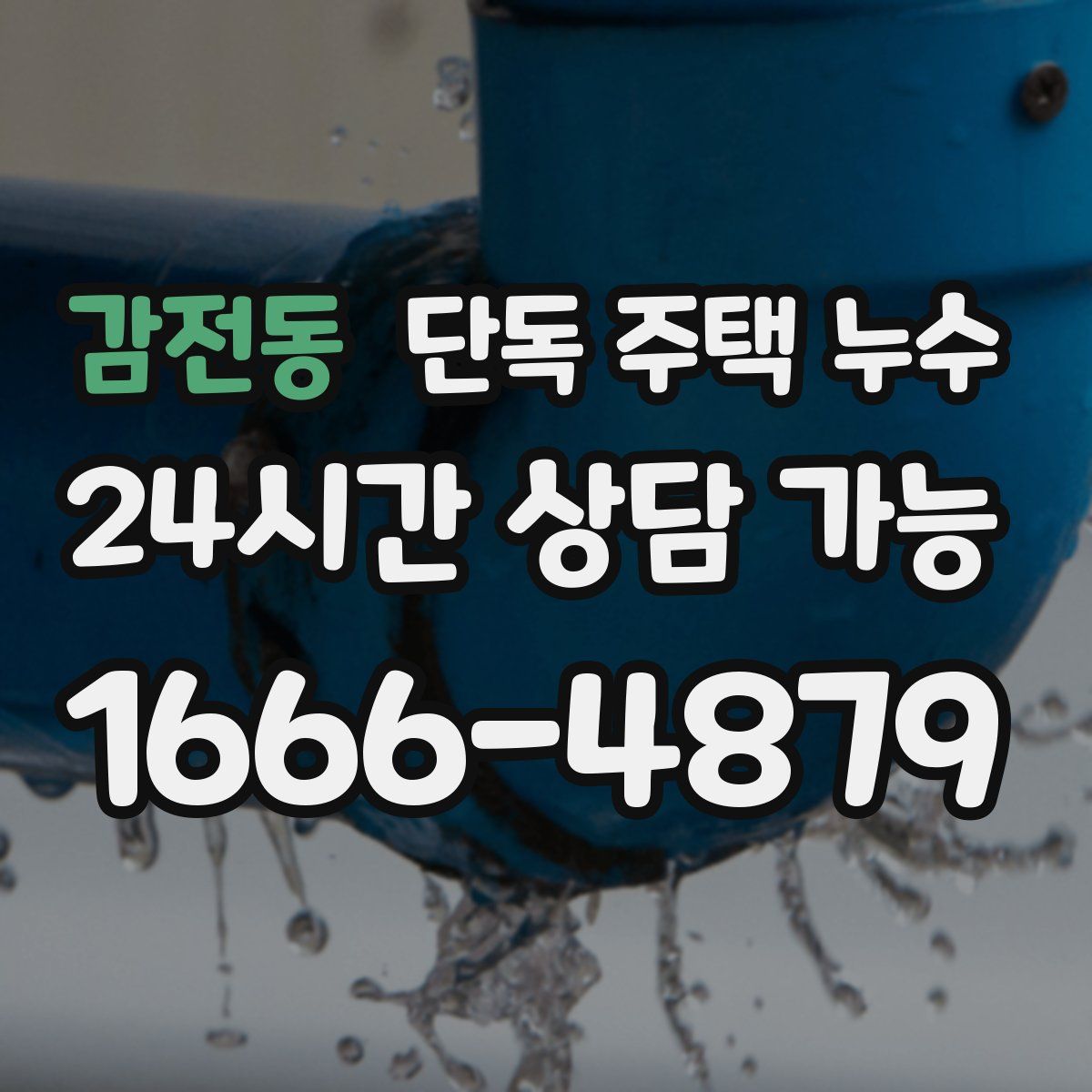 감전동 단독 주택 누수