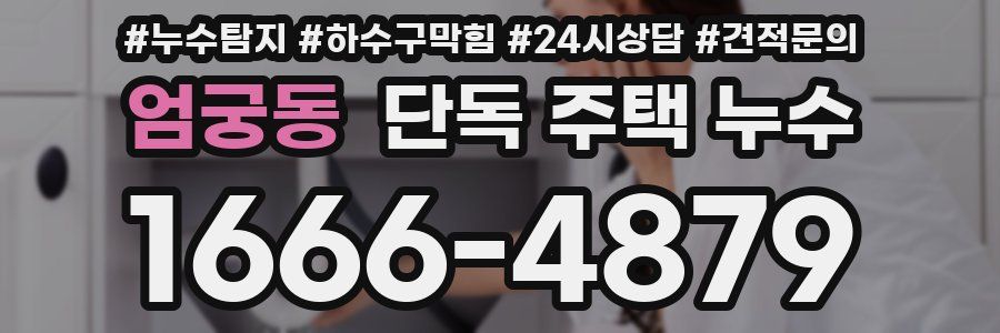 엄궁동 단독 주택 누수