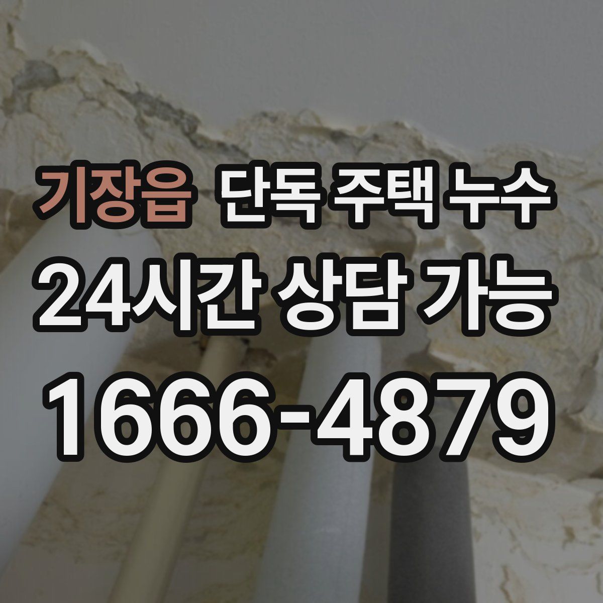 기장읍 단독 주택 누수