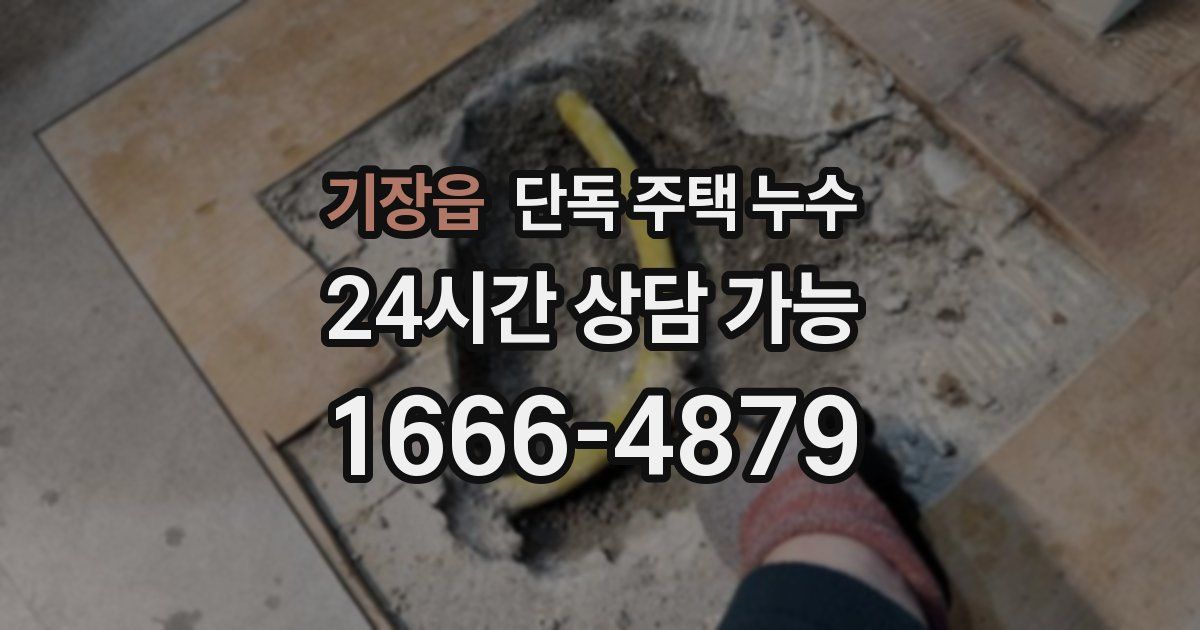 기장읍 단독 주택 누수