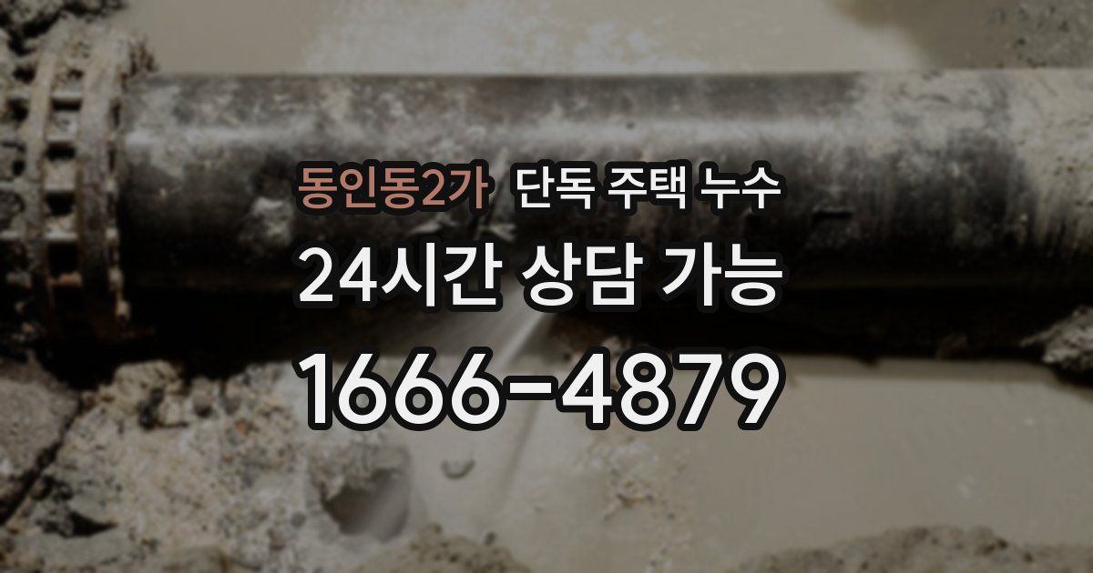 동인동2가 단독 주택 누수