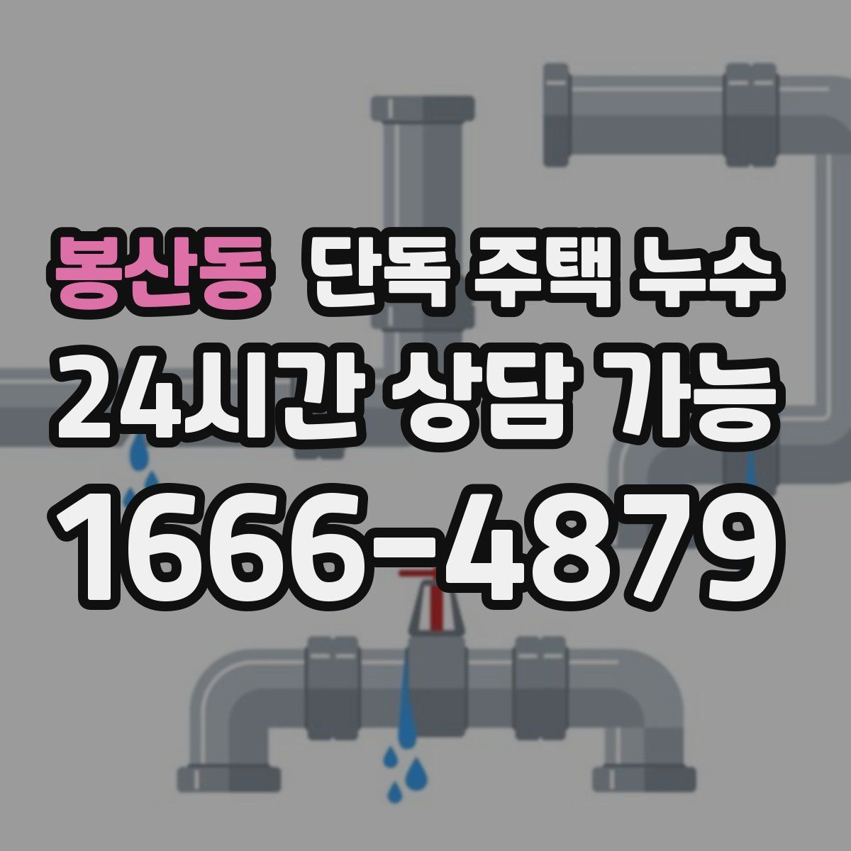 봉산동 단독 주택 누수