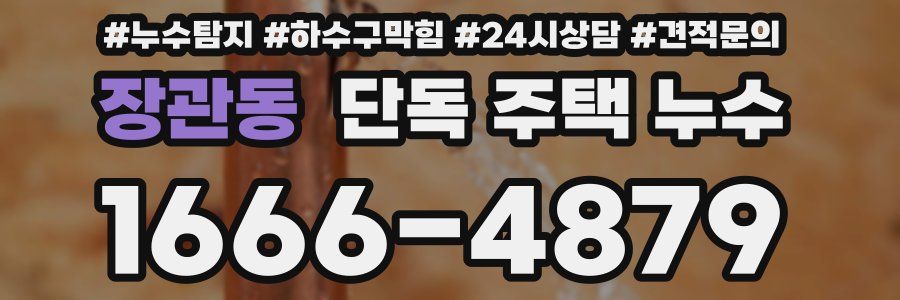 장관동 단독 주택 누수