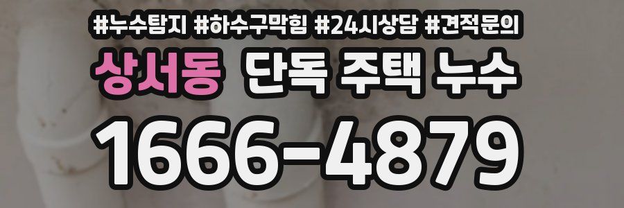 상서동 단독 주택 누수