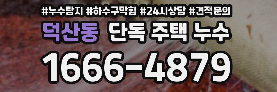 덕산동 단독 주택 누수