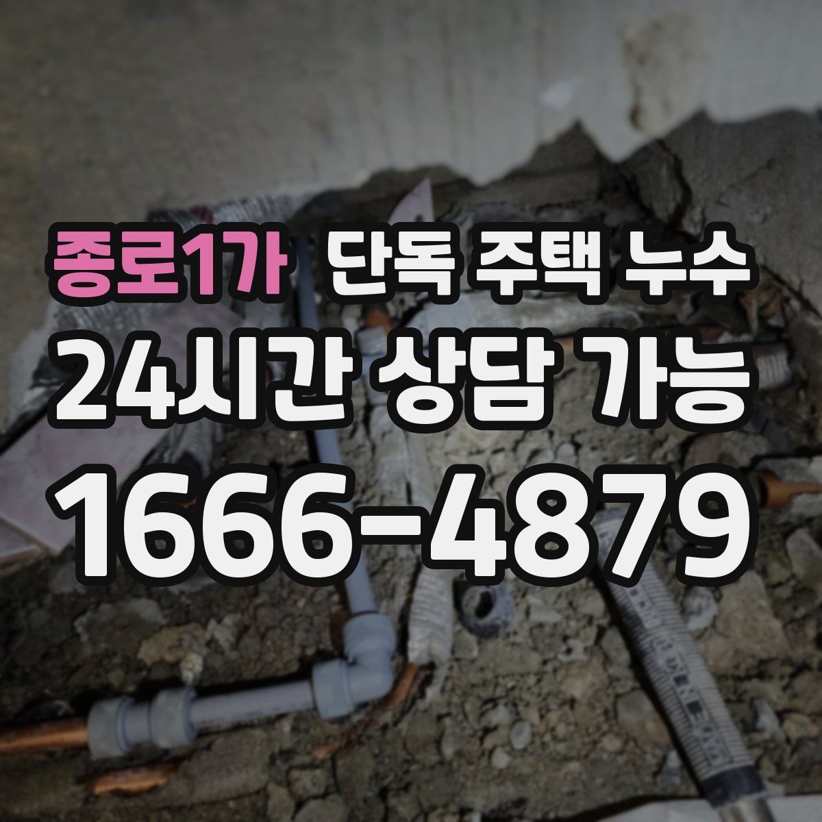 종로1가 단독 주택 누수