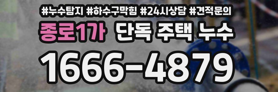 종로1가 단독 주택 누수