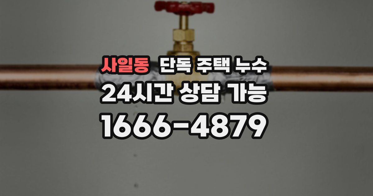 사일동 단독 주택 누수